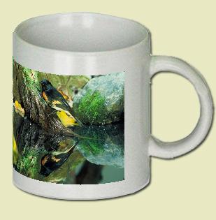 American Redstart Coffee Mug