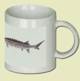 Atlantic Sturgeon Coffee Mug