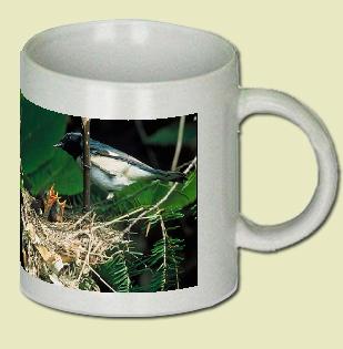 Black-throated Blue Warbler Coffee Mug