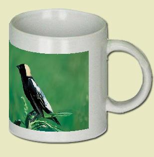 Bobolink Coffee Mug