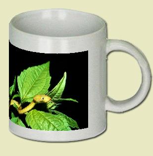 Brown Tree Snake Coffee Mug