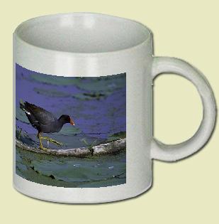 Common Moorhen Coffee Mug