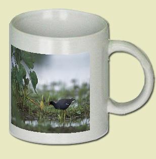 Hawaiian Moorhen Coffee Mug