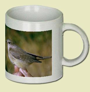 Orange-crowned Warbler Coffee Mug