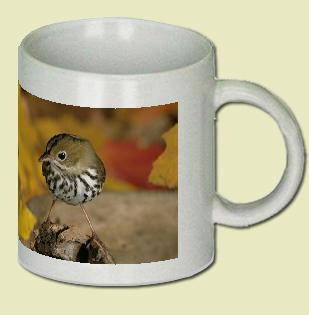 Ovenbird Coffee Mug