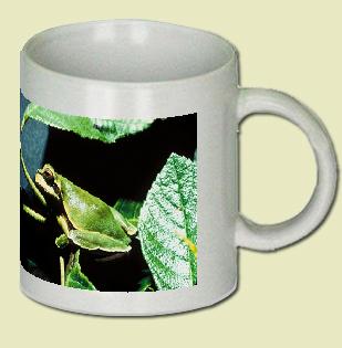 Pine Barrens tree frog Coffee Mug