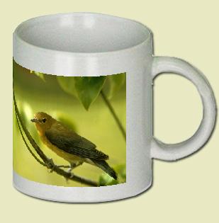 Prothonotary Warbler Coffee Mug