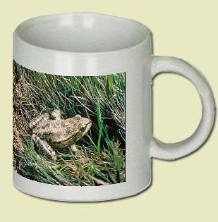 Red legged frog Coffee Mug