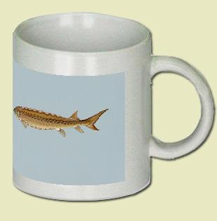 Shortnosed Sturgeon Coffee Mug