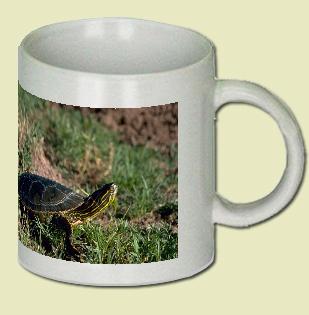 Western Painted Turtle Coffee Mug