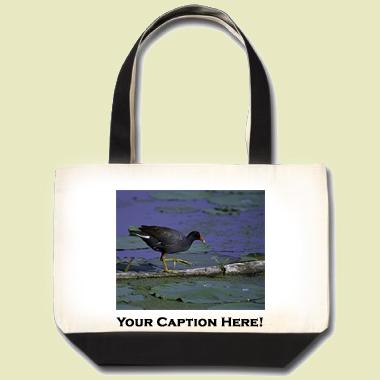 Common Moorhen Tote Bag