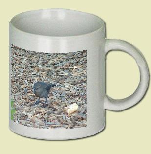 Brewer's Blackbird Coffee Mug