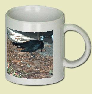 Brewer's Blackbird Coffee Mug