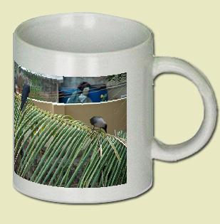 Indian Crow Coffee Mug