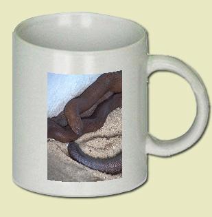 Red Sand Boa Coffee Mug