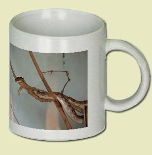 Trinket Snake Coffee Mug