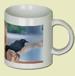 Greater Antillean Grackle Coffee Mug