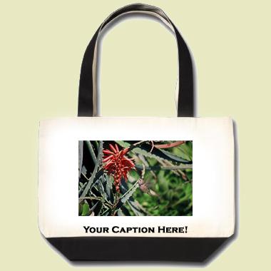 Anna's Hummingbird Tote Bag