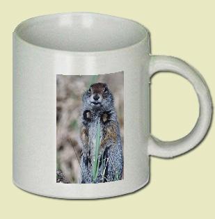 Arctic Ground Squirrel Coffee Mug