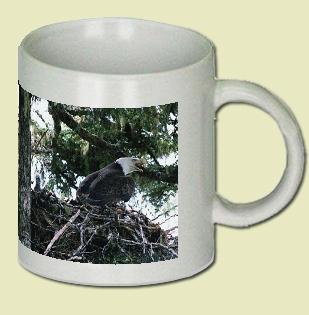 Bald Eagle Coffee Mug