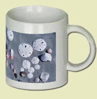 Clam Coffee Mug