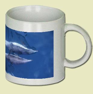 Common Dolphin Coffee Mug