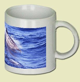 Common Dolphin Coffee Mug