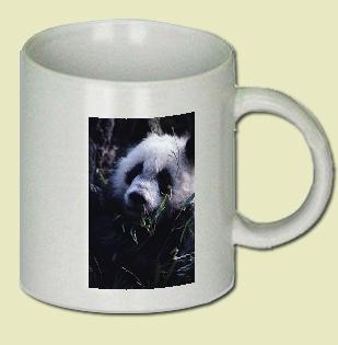 Giant Panda Coffee Mug