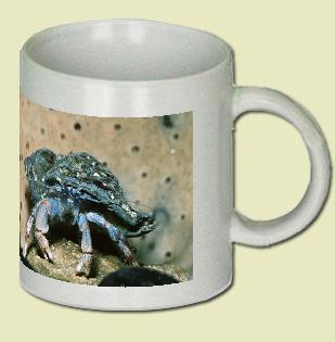 Hermit Crab Coffee Mug