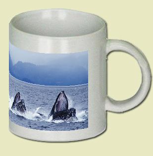 Humpback Whale Coffee Mug