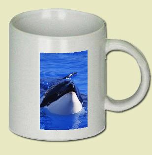 Killer Whale Coffee Mug