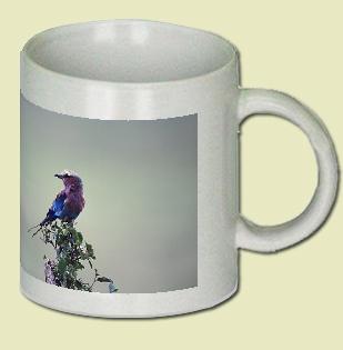 Lilac Breasted Roller Coffee Mug