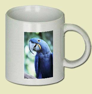 Macaw Coffee Mug