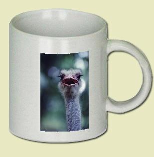 Ostrich Coffee Mug