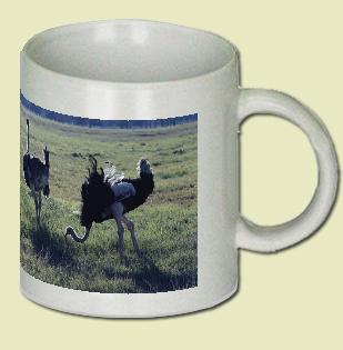 Ostrich Coffee Mug