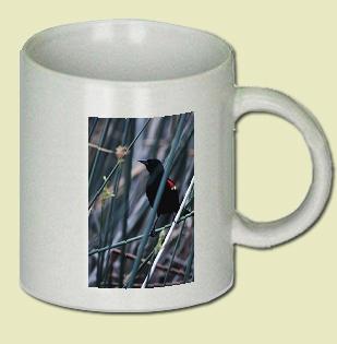 Redwing Blackbird Coffee Mug