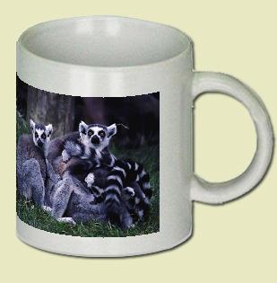 Ringtailed Lemur Coffee Mug