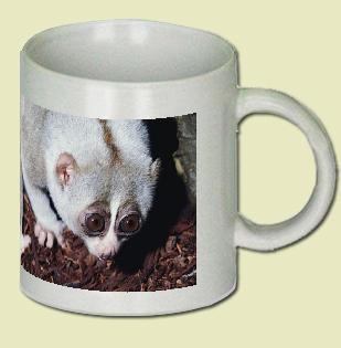 Slow Loris Coffee Mug