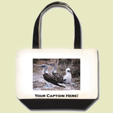 Blue Footed Booby Tote Bag