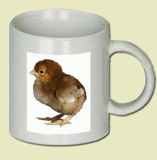 Domestic Hen Coffee Mug