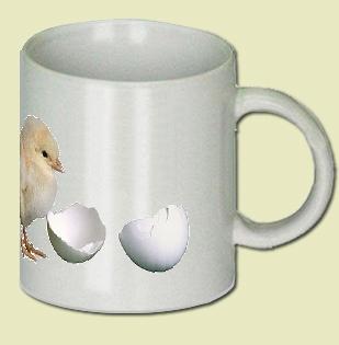 Domestic Hen Coffee Mug