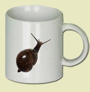 Snail Coffee Mug