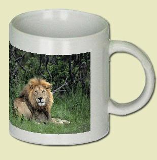 African Lion Coffee Mug