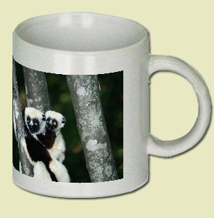 Coquerel's Sifaka Coffee Mug