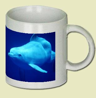 Dolphin Coffee Mug