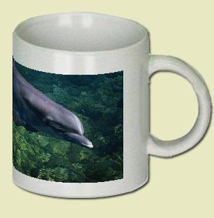 Dolphin Coffee Mug