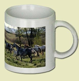 Appaloosas Coffee Mug