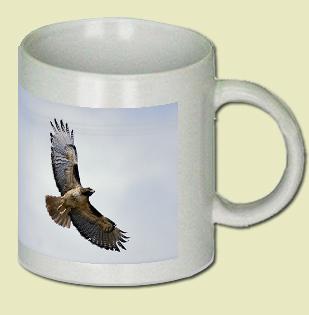 Red-tailed Hawk Coffee Mug