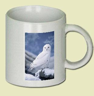 Snowy Owl Coffee Mug