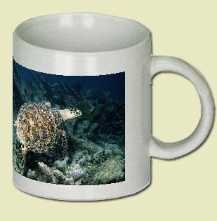 Turtle Coffee Mug